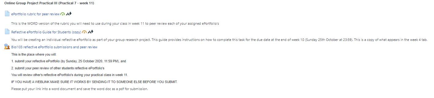 Screenshot of Moodle showing access to support resources for Workshop tool.